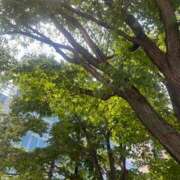ヒメ日記 2026/06/11 11:03 投稿 瀬名　さやか 雅(みやび)