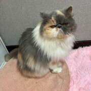 ヒメ日記 2026/07/13 20:25 投稿 冴（さえ） 丸妻 錦糸町店
