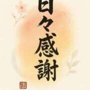 わかこ ありがとう 待ちナビ