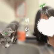 ヒメ日記 2026/07/15 22:07 投稿 みと 2980円（にゃんきゅっぱ）