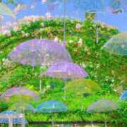 ヒメ日記 2026/06/12 07:36 投稿 明日香(あすか) MERMAID～マーメイド～