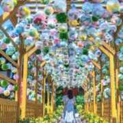 ヒメ日記 2026/07/17 16:14 投稿 明日香(あすか) MERMAID～マーメイド～