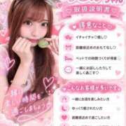 のどか 🎀取り扱い説明書🎀 Versailles