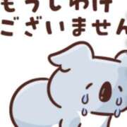 坂井みお 大変申し訳ありません??♀? ミセスレディ