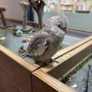 ヒメ日記 2026/09/09 13:00 投稿 こうめ 川崎三浦屋