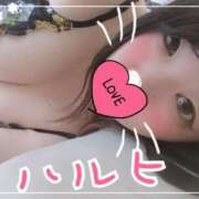本城　はるひ ♡はじめまして！♡ エテルナ京都