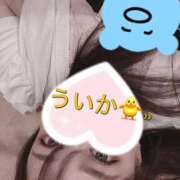 ヒメ日記 2026/06/09 01:04 投稿 初夏（ういか） ビッグバード