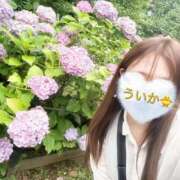 ヒメ日記 2026/06/15 03:24 投稿 初夏（ういか） ビッグバード