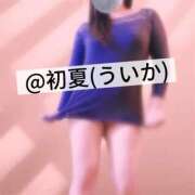 ヒメ日記 2026/06/16 12:14 投稿 初夏（ういか） ビッグバード