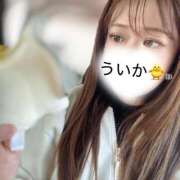 ヒメ日記 2026/06/24 13:34 投稿 初夏（ういか） ビッグバード