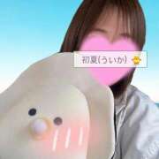 ヒメ日記 2026/07/23 14:25 投稿 初夏（ういか） ビッグバード