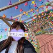 ヒメ日記 2026/07/30 13:34 投稿 初夏（ういか） ビッグバード