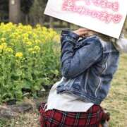 ヒメ日記 2026/08/12 08:36 投稿 Kana Moment.(モーメント)