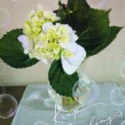 ヒメ日記 2026/06/15 08:38 投稿 千草 セクシーキャット 小田原店