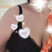 ヒメ日記 2026/06/24 09:05 投稿 千草 セクシーキャット 小田原店