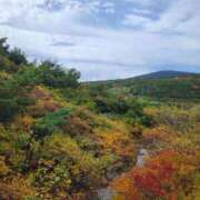 神宮（じんぐう） 秋晴れ🍁 西川口デッドボール