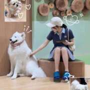 ヒメ日記 2026/06/02 06:40 投稿 めめち まだ舐めたくて学園渋谷校〜舐めたくてグループ〜