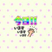 ヒメ日記 2026/06/25 16:56 投稿 松岡　のの メイドin西川口（埼玉ハレ系）