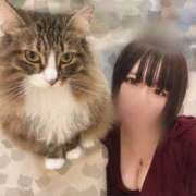 ヒメ日記 2026/06/05 12:05 投稿 こころ メイドde本舗