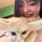 ヒメ日記 2026/06/25 16:05 投稿 かん ふわふわコレクション川越店