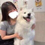 ヒメ日記 2026/06/30 11:47 投稿 かん ふわふわコレクション川越店