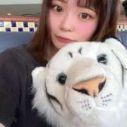 ヒメ日記 2026/07/17 12:10 投稿 かん ふわふわコレクション川越店
