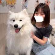 ヒメ日記 2026/07/28 19:50 投稿 かん ふわふわコレクション川越店