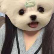 ヒメ日記 2026/06/03 13:17 投稿 みいな 舐めフェチの会