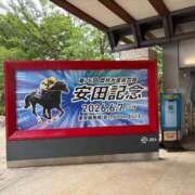 ヒメ日記 2026/06/08 11:47 投稿 めめ とある風俗店♡やりすぎさーくる新宿大久保店♡で色んな無料オプションしてみました