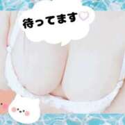 ヒメ日記 2026/08/14 15:32 投稿 寧々(ねね) PLUS梅田店
