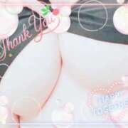 ヒメ日記 2026/10/12 12:52 投稿 寧々(ねね) PLUS梅田店