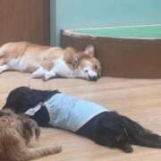 ヒメ日記 2026/08/07 05:12 投稿 あやね お姉京都
