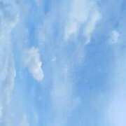 ヒメ日記 2026/05/24 15:16 投稿 伊織夏音(いおりかのん) 九州熟女　熊本店