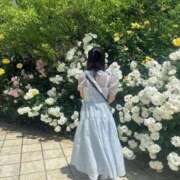 ヒメ日記 2026/06/19 08:04 投稿 さとみ【店推し認定ロリ少女】 レンタル美少女～堕とされた優等生～五反田店