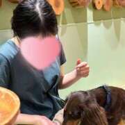 ヒメ日記 2026/06/10 18:24 投稿 みおな【店推し認定生徒】 レンタル美少女～堕とされた優等生～五反田店