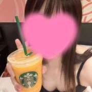 ヒメ日記 2026/06/24 07:15 投稿 みはる【洗練清楚坂道系】 レンタル美少女～堕とされた優等生～五反田店