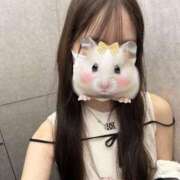 ヒメ日記 2026/06/07 06:15 投稿 らむ にゃんだ☆full☆MIX（にゃんだふるみっくす）