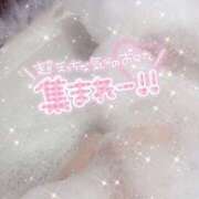 ヒメ日記 2026/05/25 20:39 投稿 のあ【濃厚パイズリ即濡れ密着】 セクシャル