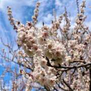 優香-ユウカ- こんにちは🌼 お姉さんセレブR38