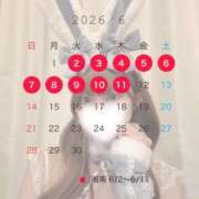 ヒメ日記 2026/05/23 02:51 投稿 渡辺 いとは Neo Elegance（ネオエレガンス）