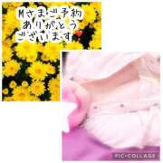 なるみ奥様 💗Mさまご予約ありがとうございます💗 川崎人妻ソープ Mint(ミント)