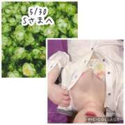 ヒメ日記 2026/05/31 17:02 投稿 なるみ奥様 川崎人妻ソープ Mint(ミント)
