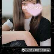 ヒメ日記 2026/05/30 07:07 投稿 たお ハピネス東京