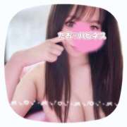 ヒメ日記 2026/06/14 06:07 投稿 たお ハピネス東京