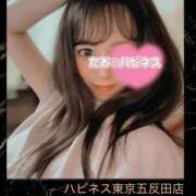 ヒメ日記 2026/06/15 06:37 投稿 たお ハピネス東京
