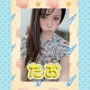 ヒメ日記 2026/08/16 19:07 投稿 たお ハピネス東京