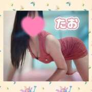 ヒメ日記 2026/09/11 19:07 投稿 たお ハピネス東京