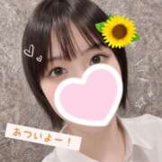ヒメ日記 2026/07/15 12:17 投稿 みこ 秋葉原鑑賞ガール