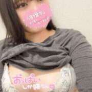 ヒメ日記 2026/06/25 13:30 投稿 瀬奈　かるあ ノーパンパンスト スケベなOL梅田・兎我野店