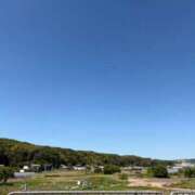 ヒメ日記 2026/06/06 07:22 投稿 さり The White